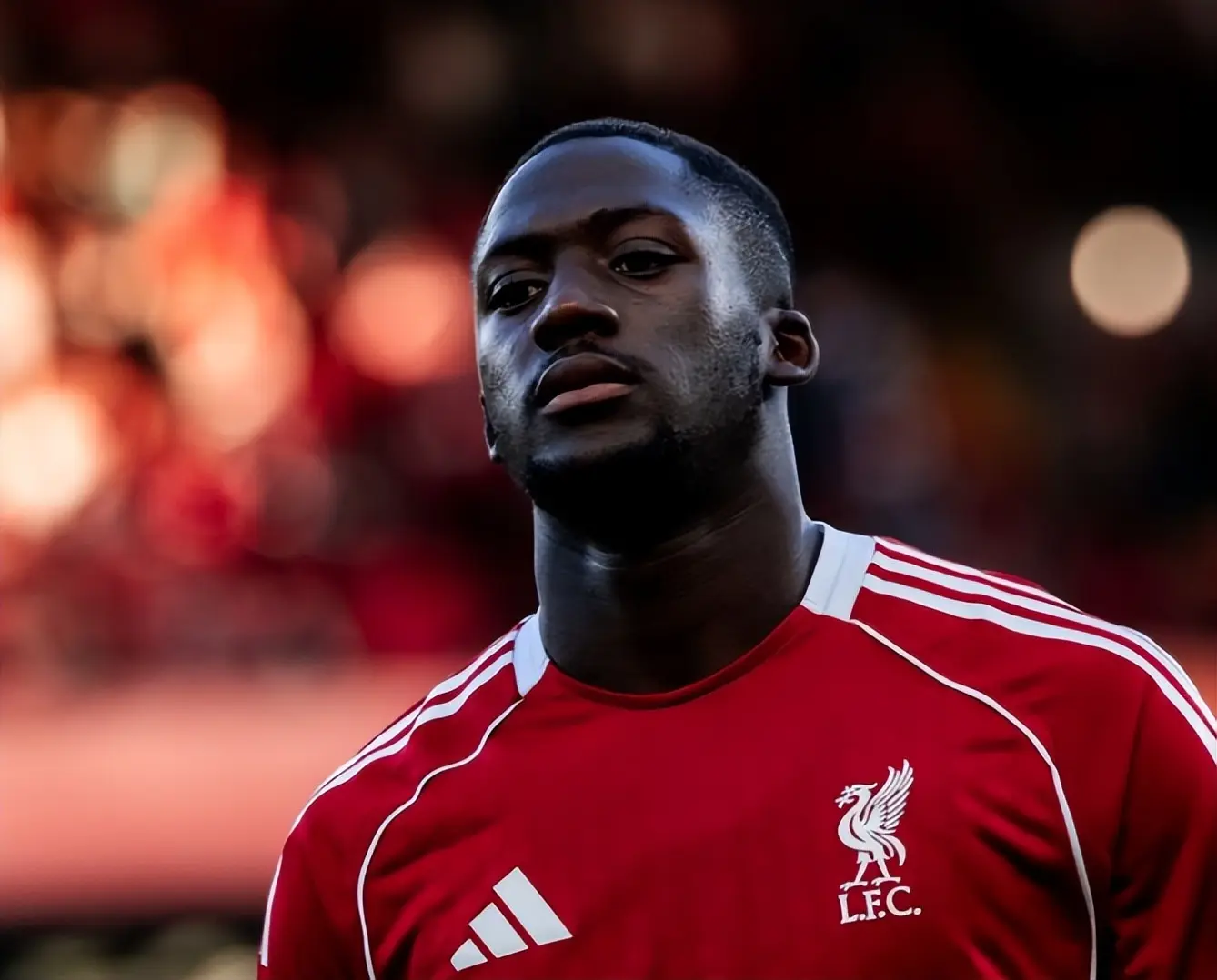 今年夏天, not, ewis