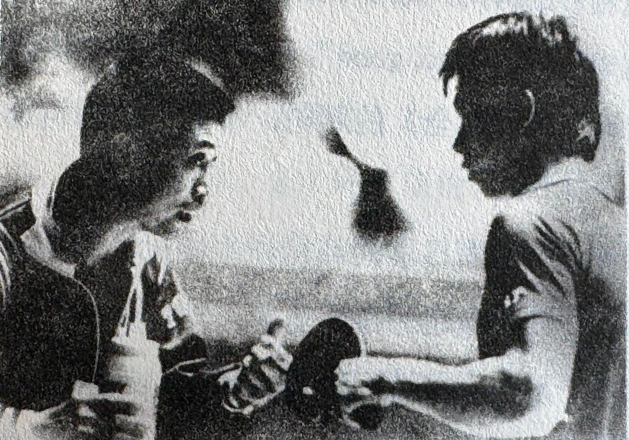 陈新华等多, 先后获得